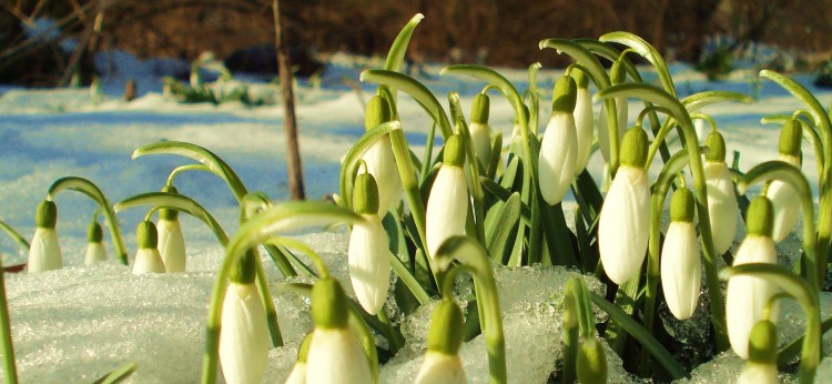Sabiedriskā transporta kustības izmaiņas skolēnu pavasara brīvdienās